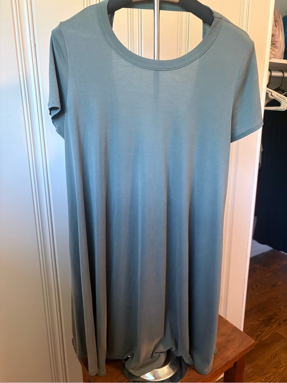 bloom Short Sleeve Swing Mini Dress in Dusty Blue-Green